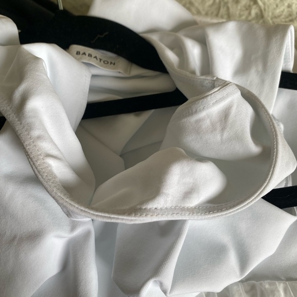 Aritzia Babaton Worldly Dress - Picture 11 of 13